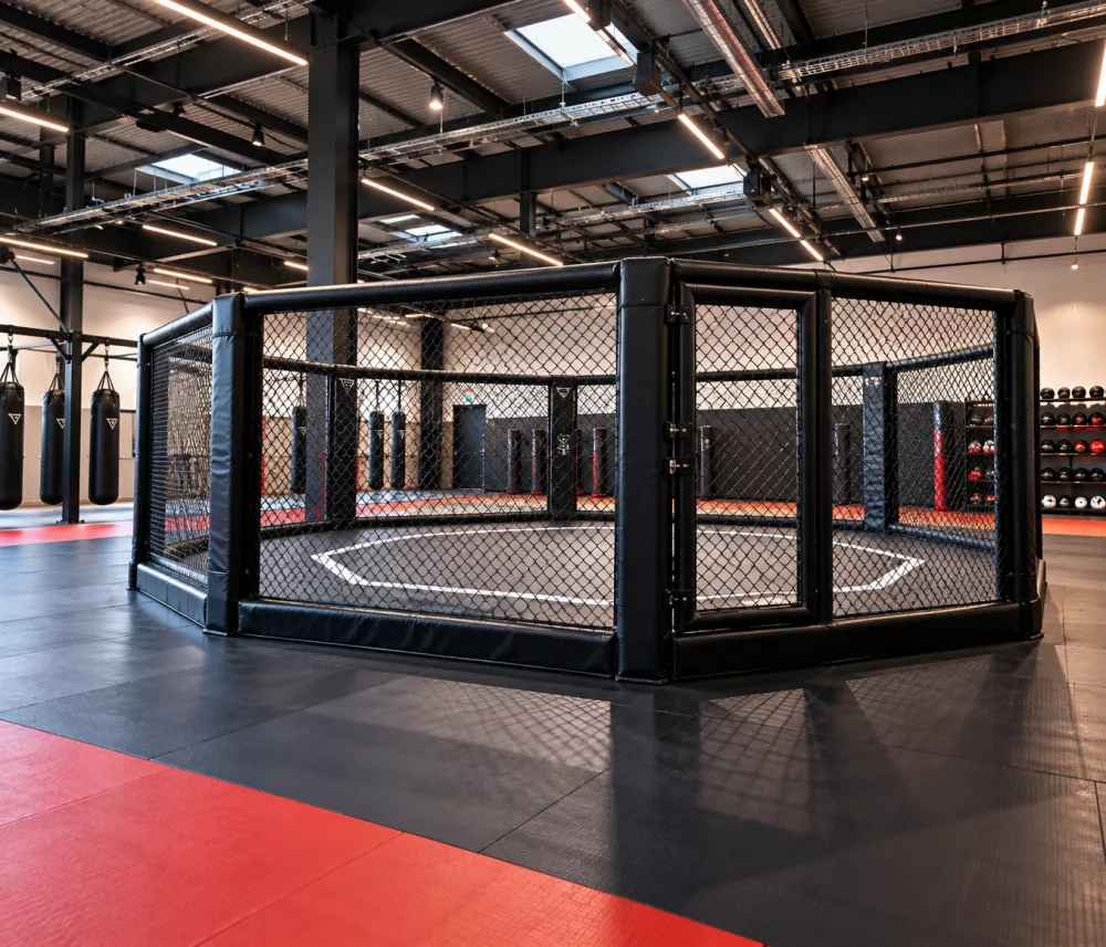 Sports de combat