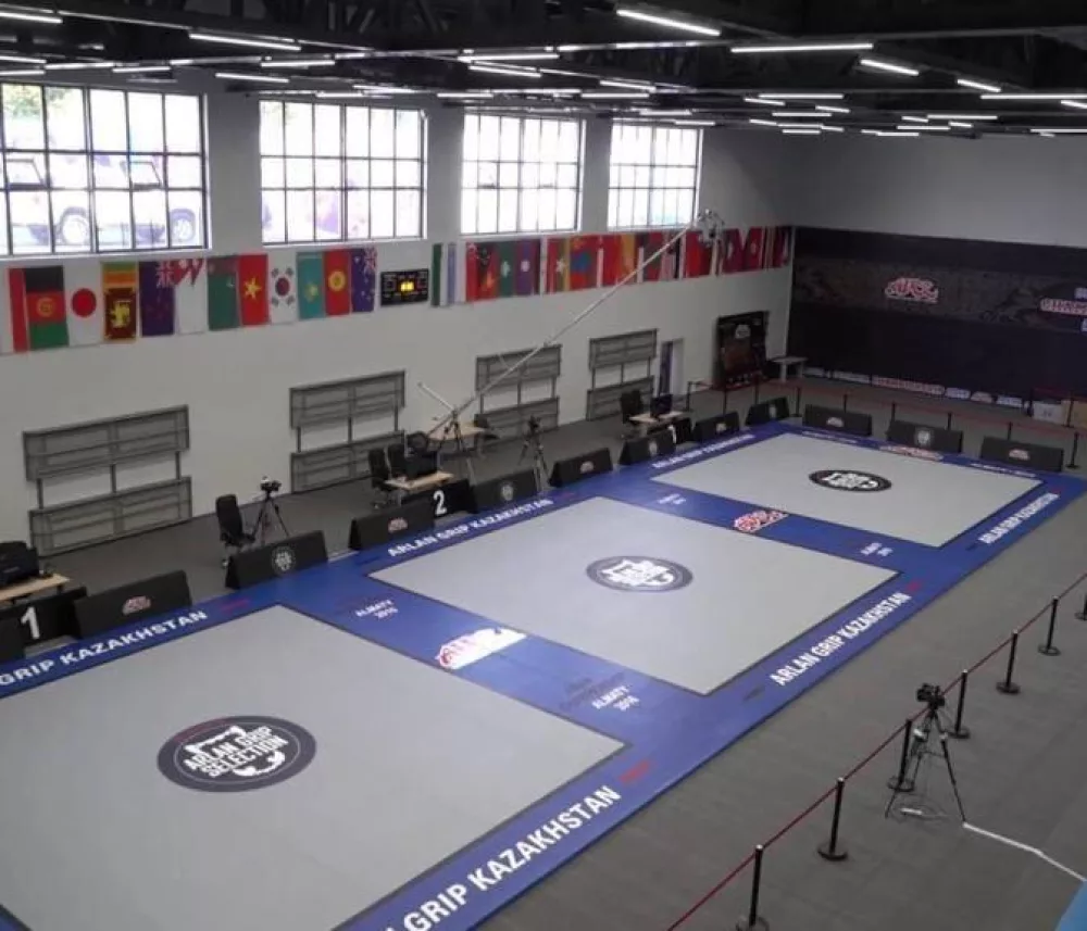 Jiu-jitsu brésilien